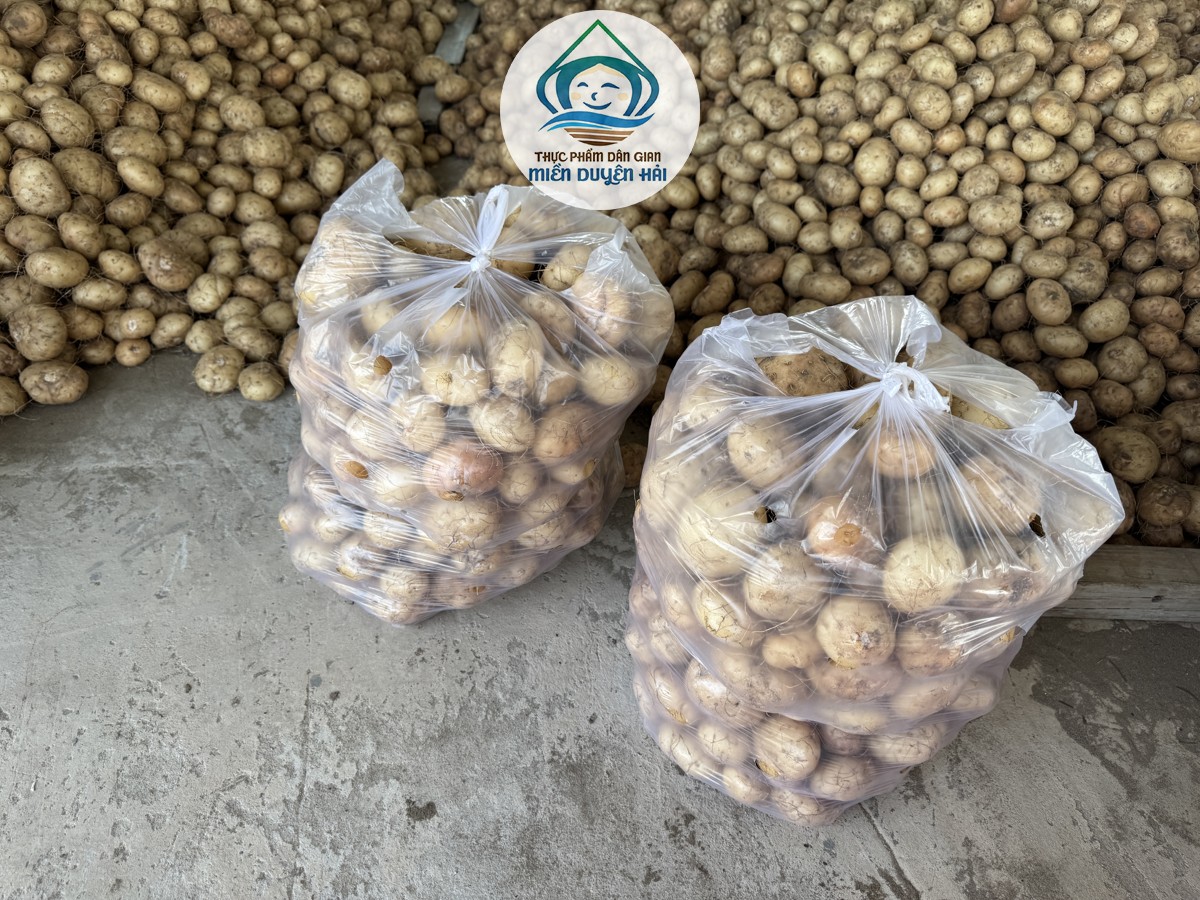 Bột Nưa Trà Vinh, Bột Nưa Trà Vinh nguyên chất, vì sao Bột Nưa Trà Vinh được ưa chuộng, Tinh Bột Nưa Trà Vinh, Bột Nưa Miền Duyên Hải